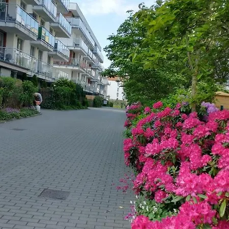 Limonka Apartment *
